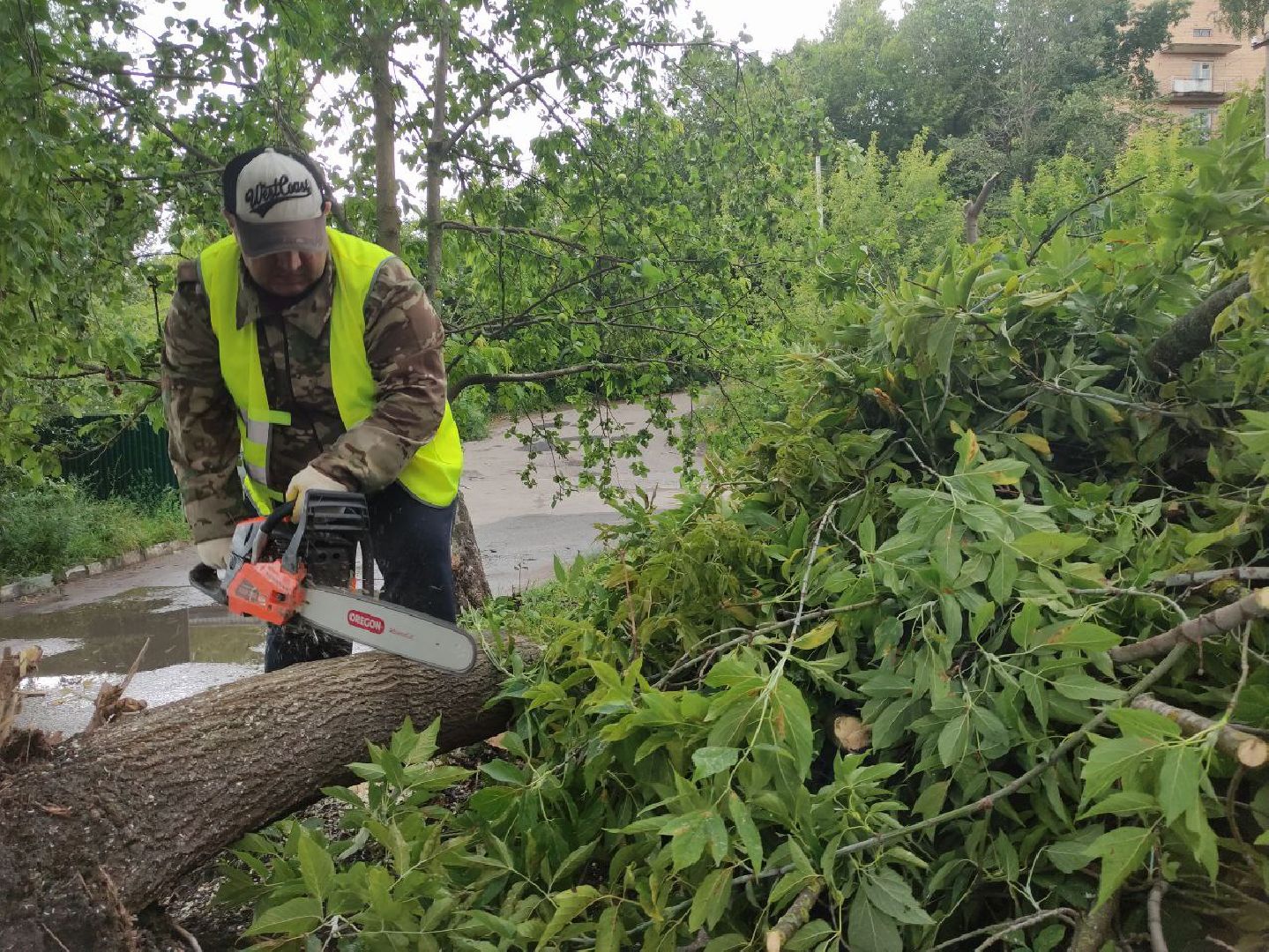 лыткарино, жкх, уборка, непогода,