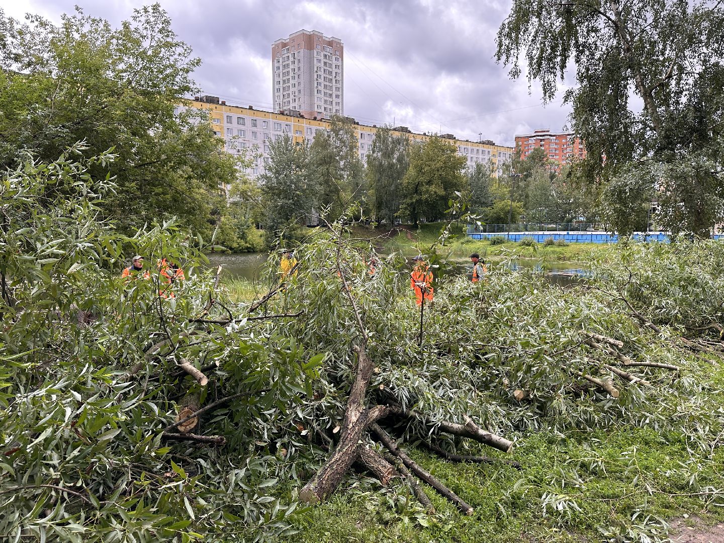Одинцово, Ураган, Благоустройство, Стихия
