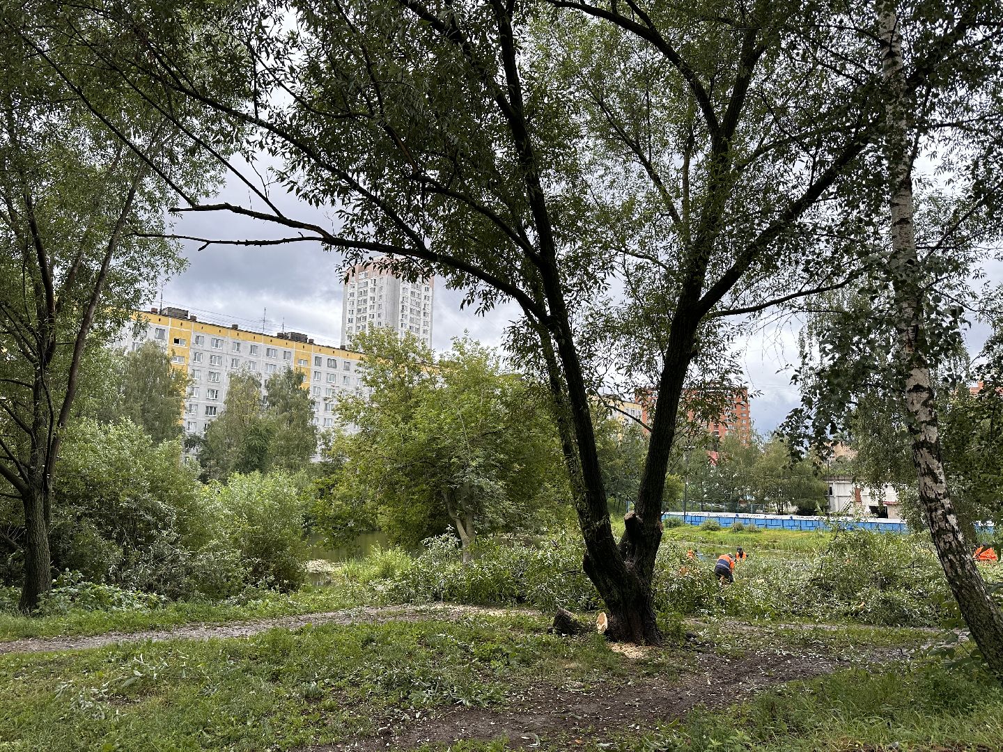 Одинцово, Ураган, Благоустройство, Стихия