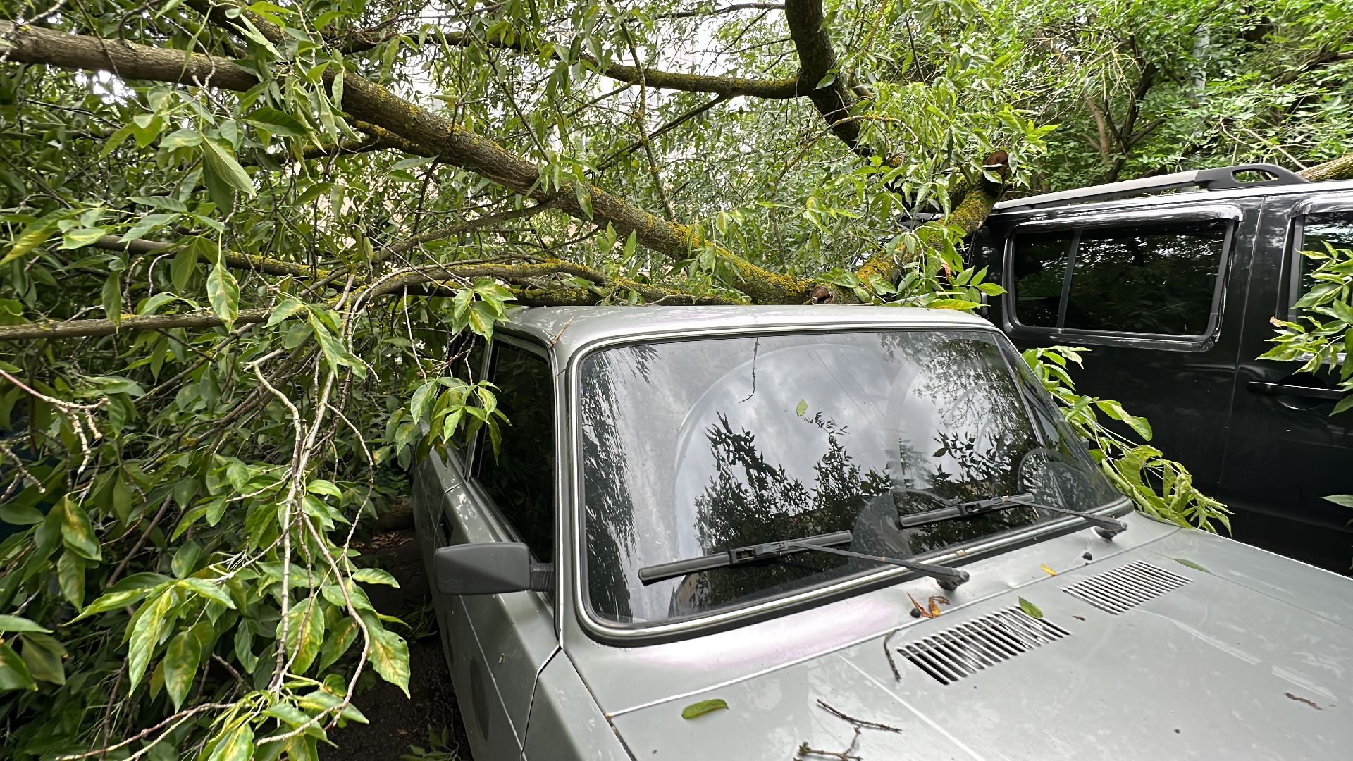 Одинцово, Ураган, Благоустройство