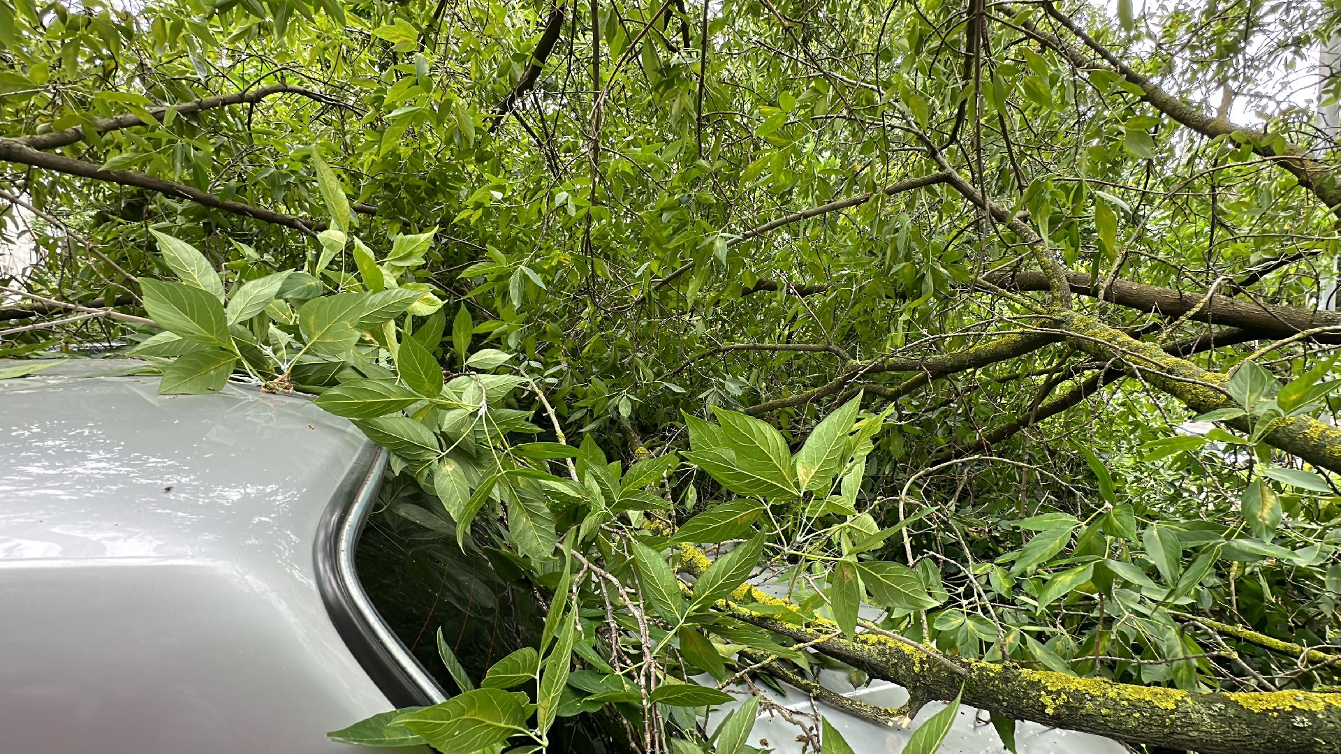 Одинцово, Ураган, Благоустройство