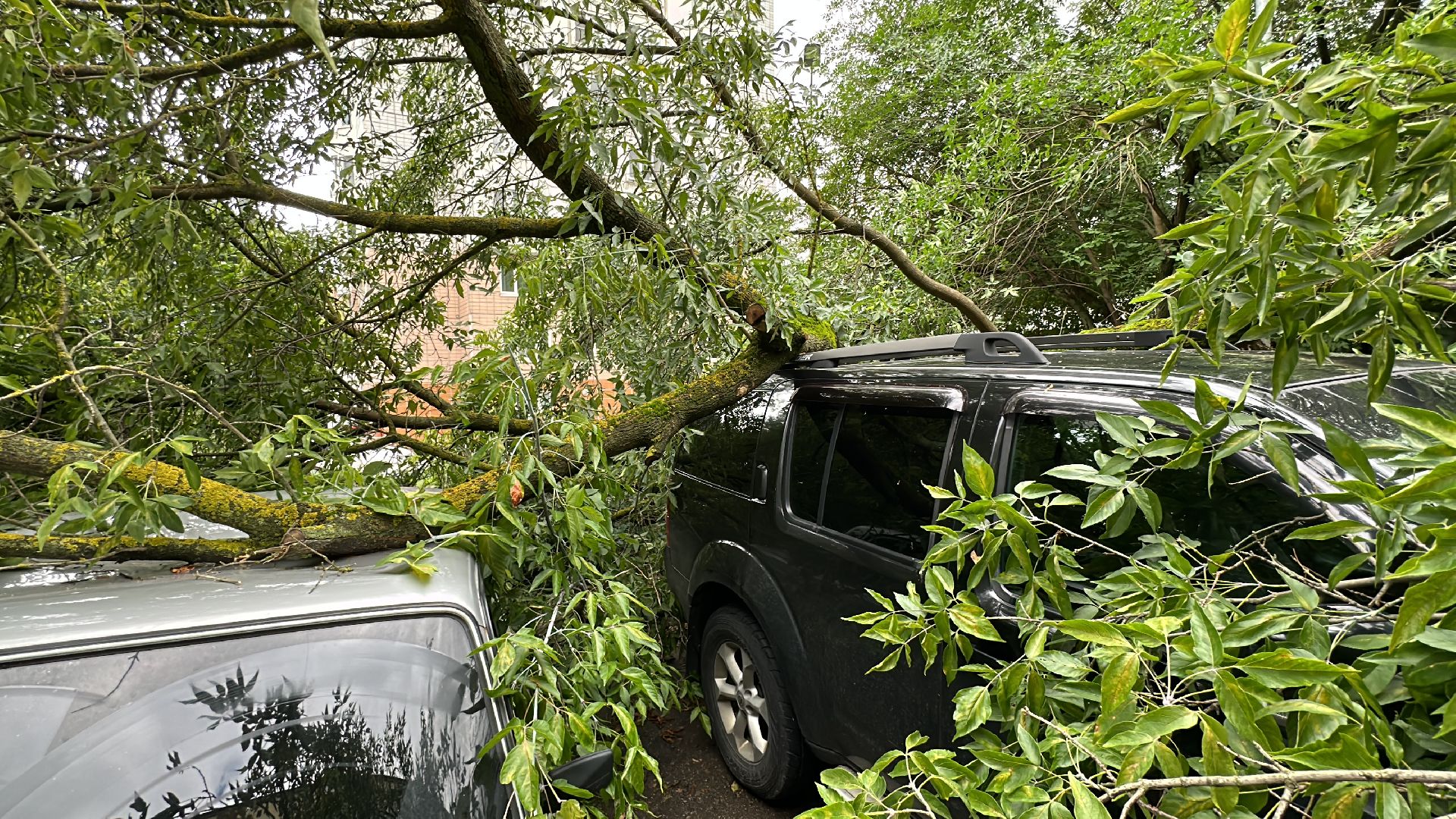 Одинцово, Ураган, Благоустройство