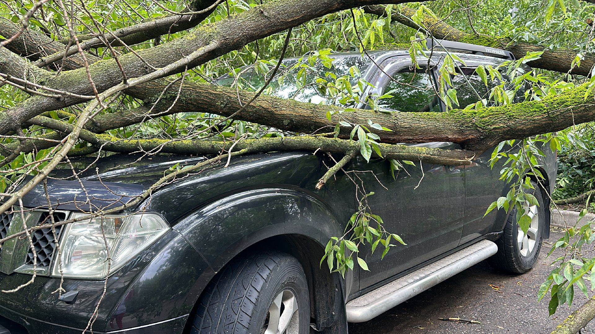 Одинцово, Ураган, Благоустройство