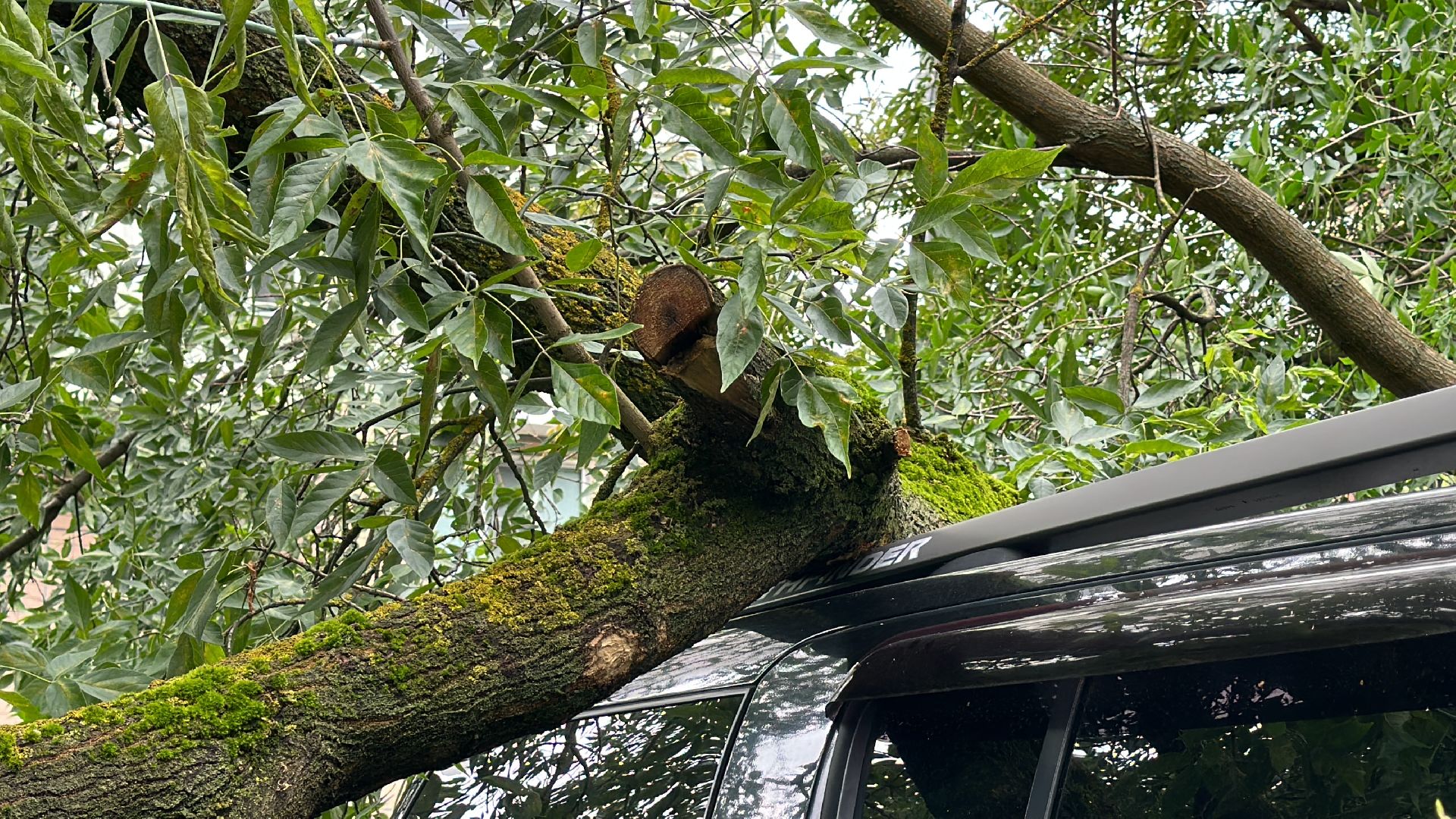 Одинцово, Ураган, Благоустройство