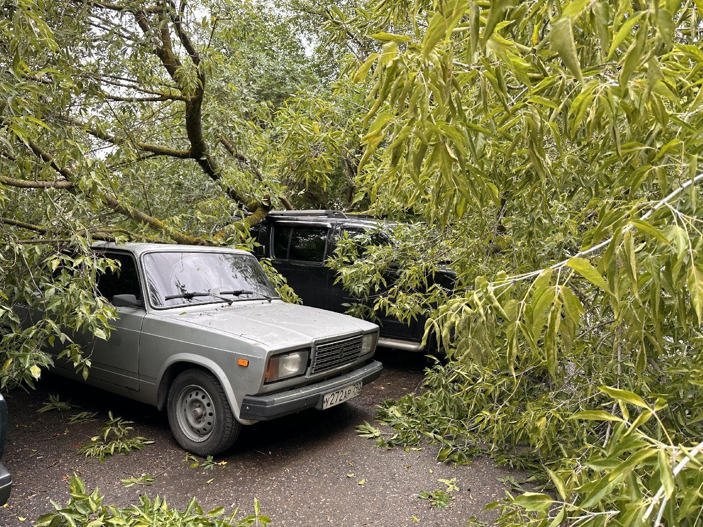 Одинцово, Ураган, Благоустройство