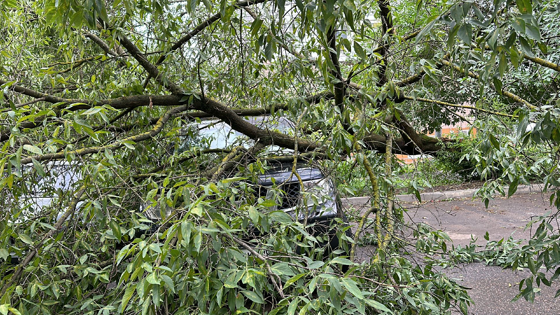 Одинцово, Ураган, Благоустройство