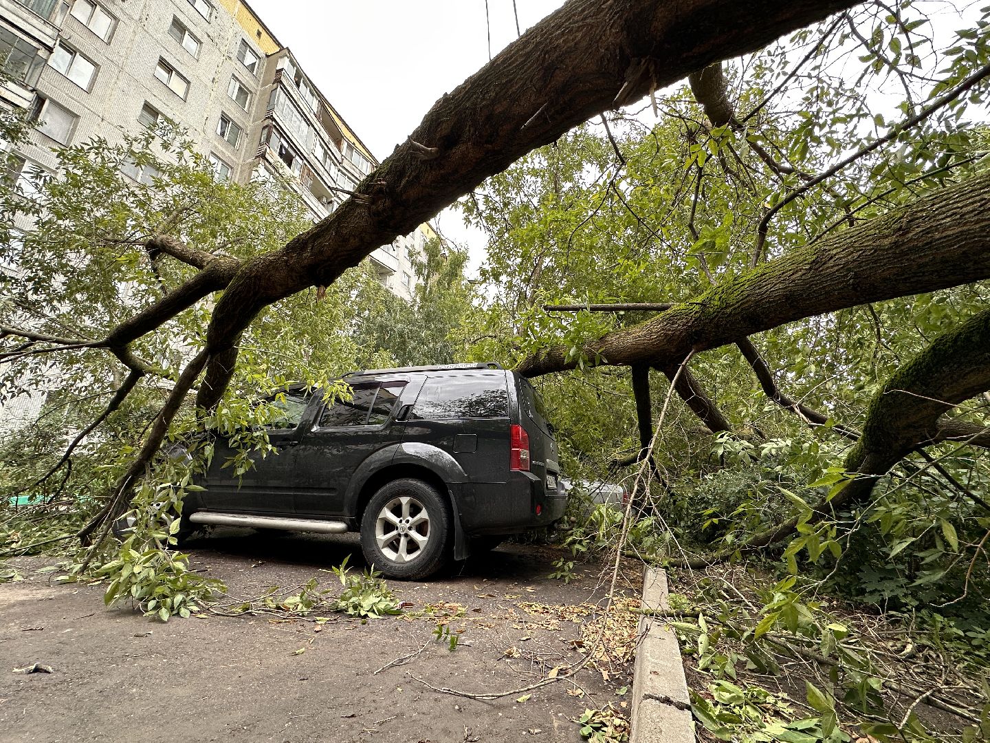 Одинцово, Ураган, Благоустройство