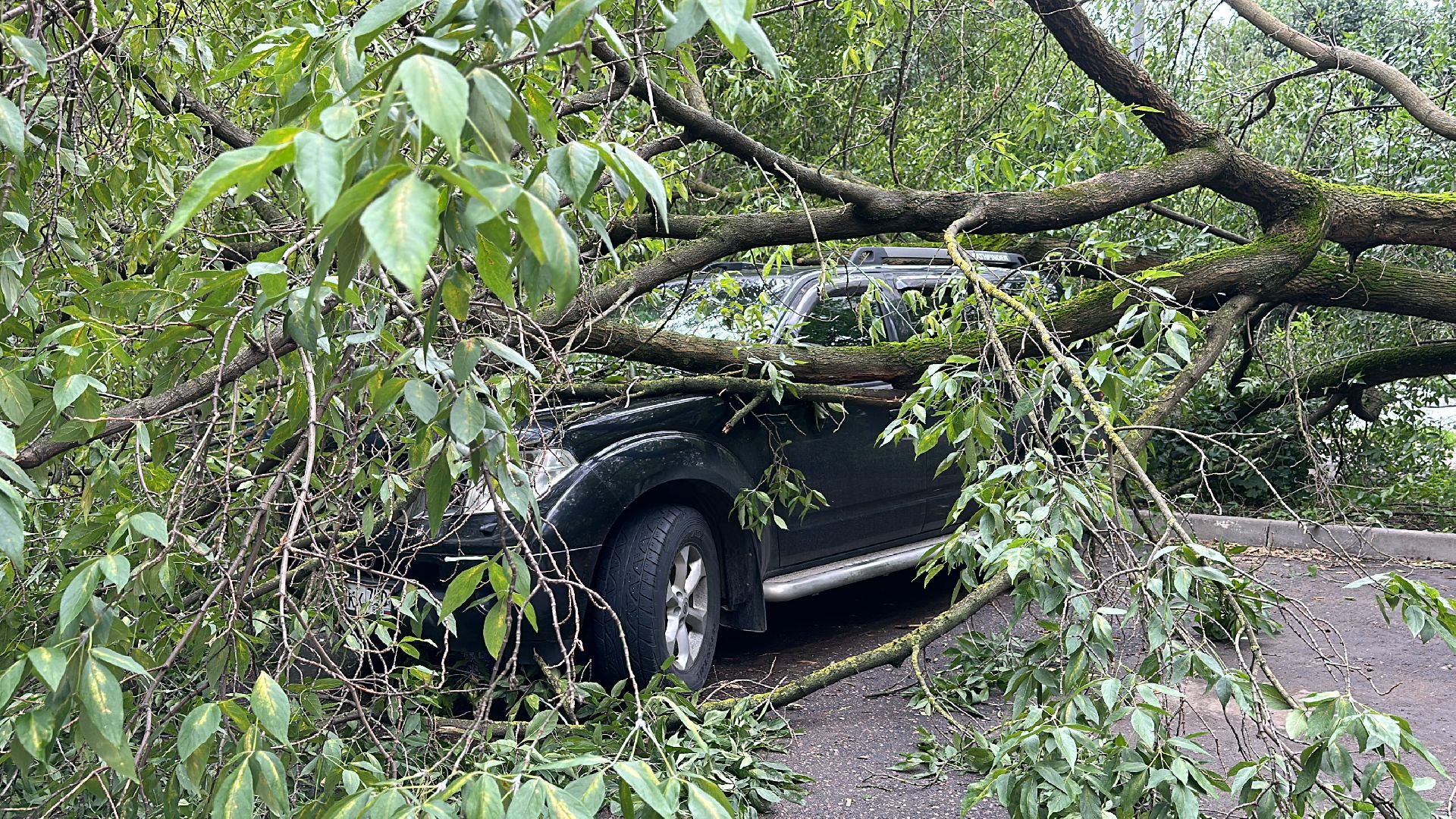 Одинцово, Ураган, Благоустройство
