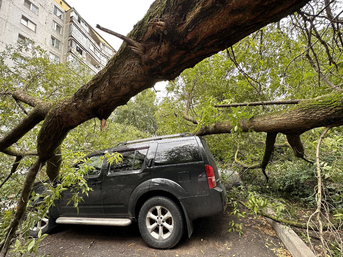 Одинцово, Ураган, Благоустройство