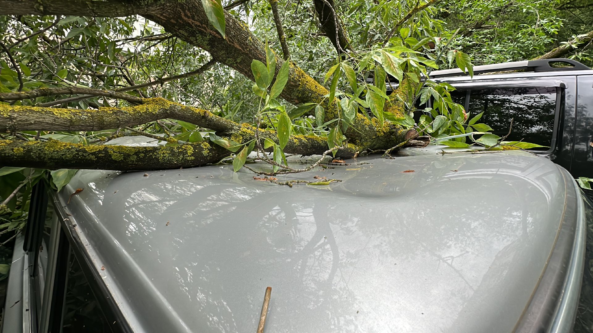 Одинцово, Ураган, Благоустройство