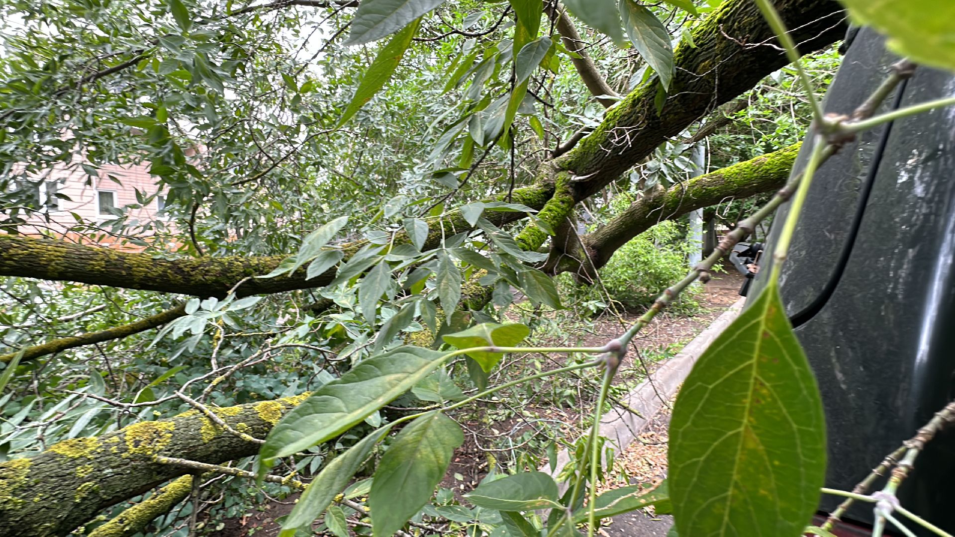 Одинцово, Ураган, Благоустройство