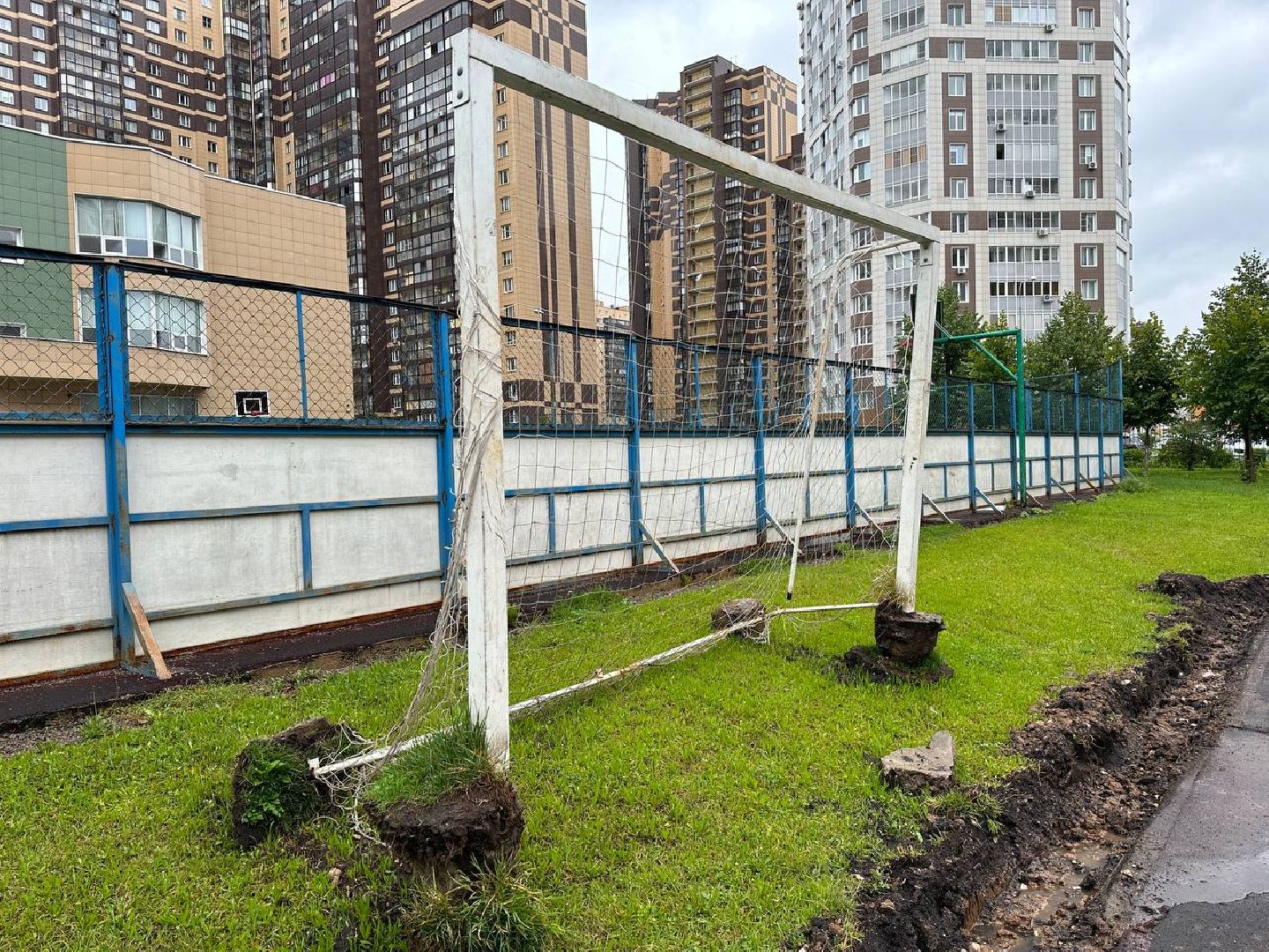 Реутов, образование, спорт, стадион, ремонт, программа губернатора