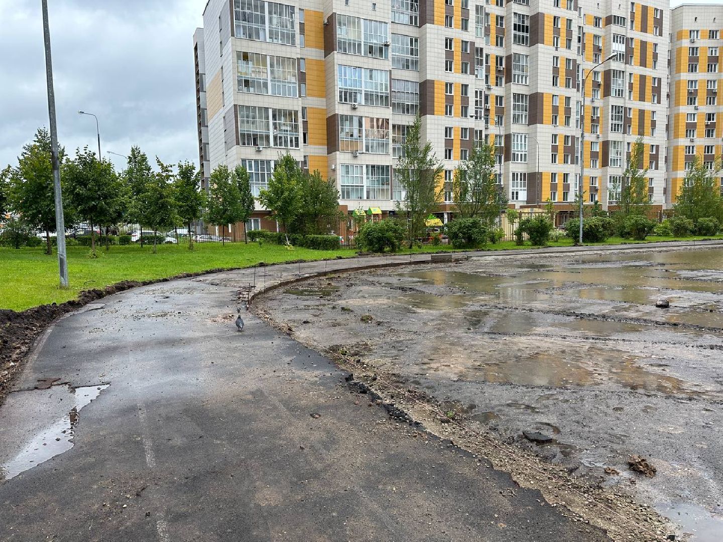 Реутов, образование, спорт, стадион, ремонт, программа губернатора