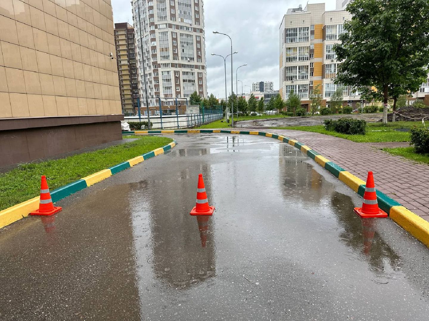 Реутов, образование, спорт, стадион, ремонт, программа губернатора