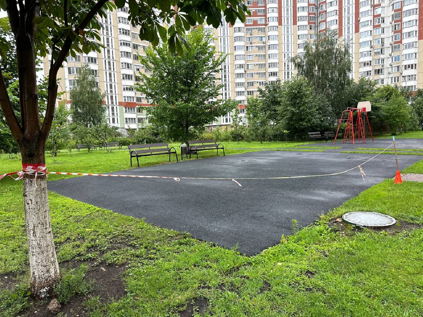 Реутов, образование, спорт, стадион, ремонт, программа губернатора