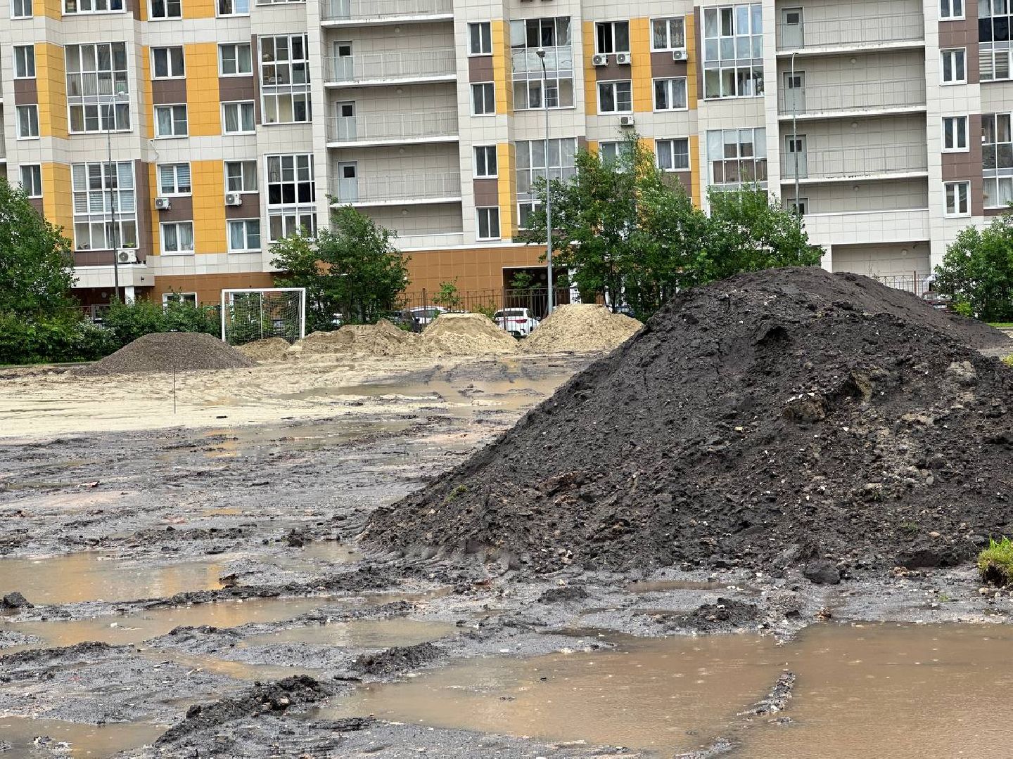 Реутов, образование, спорт, стадион, ремонт, программа губернатора