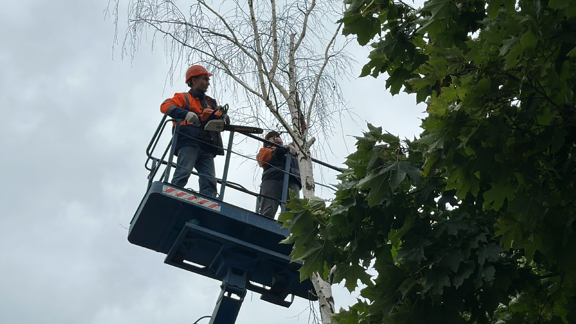 Одинцово, Ураган, Благоустройство, Безопасность