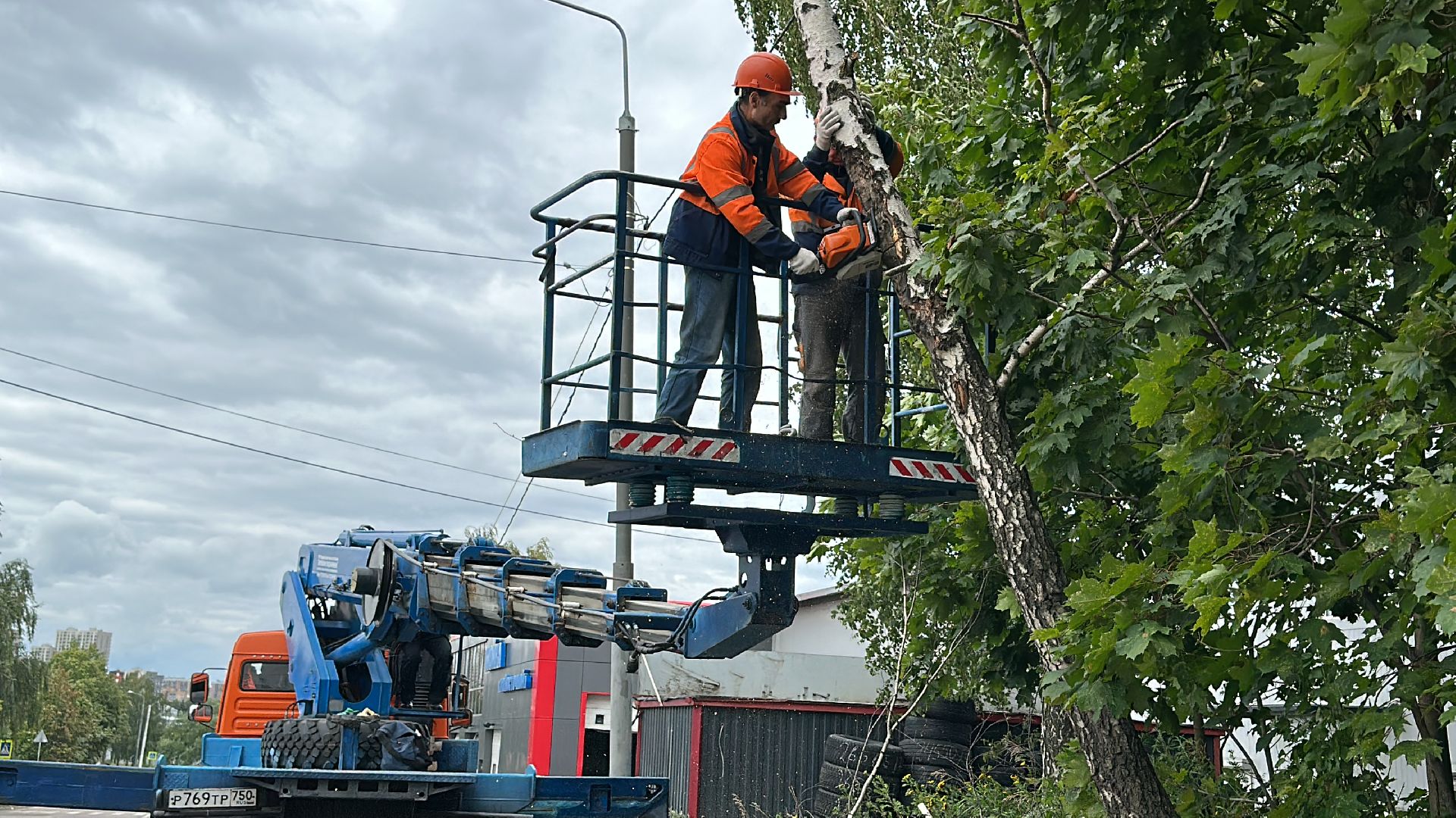 Одинцово, Ураган, Благоустройство, Безопасность