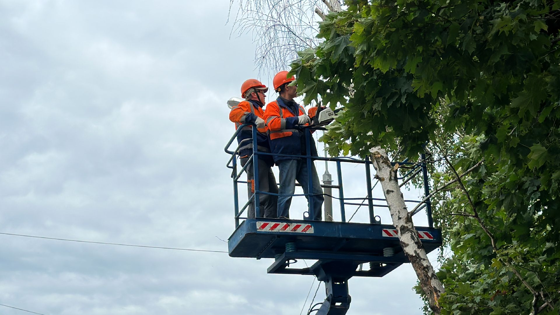 Одинцово, Ураган, Благоустройство, Безопасность