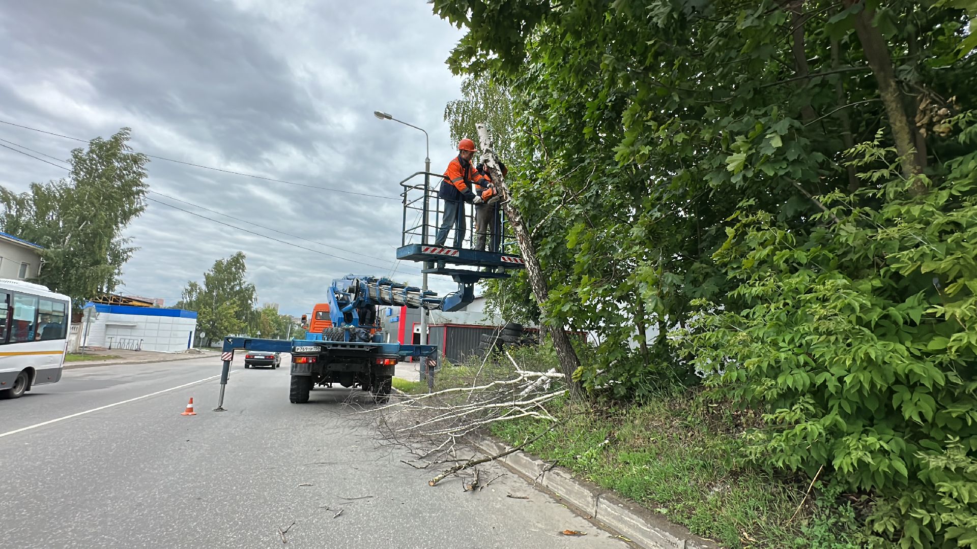 Одинцово, Ураган, Благоустройство, Безопасность