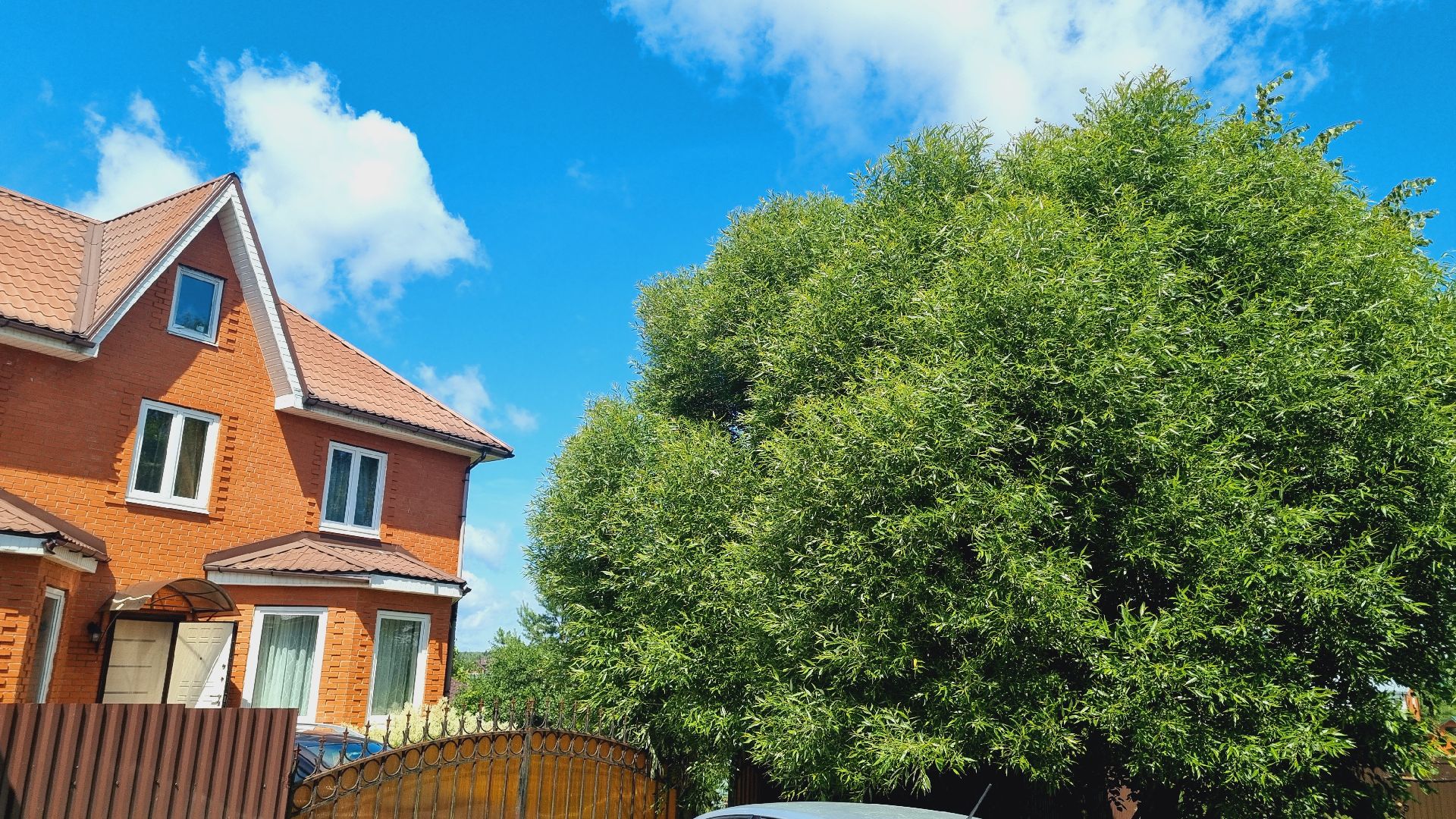 Подмосковье, Городской округ Пушкинский, газификация