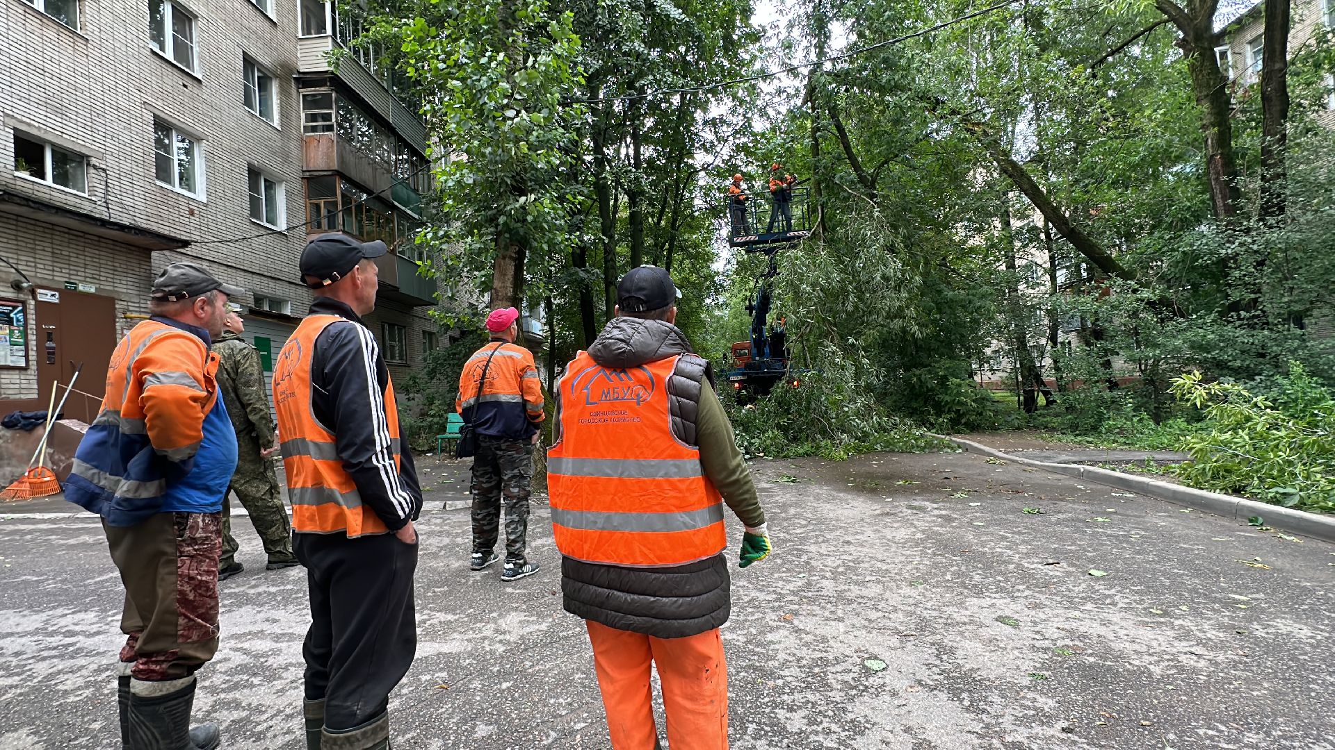 Одинцово, Ураган, Стихия, Благоустройство