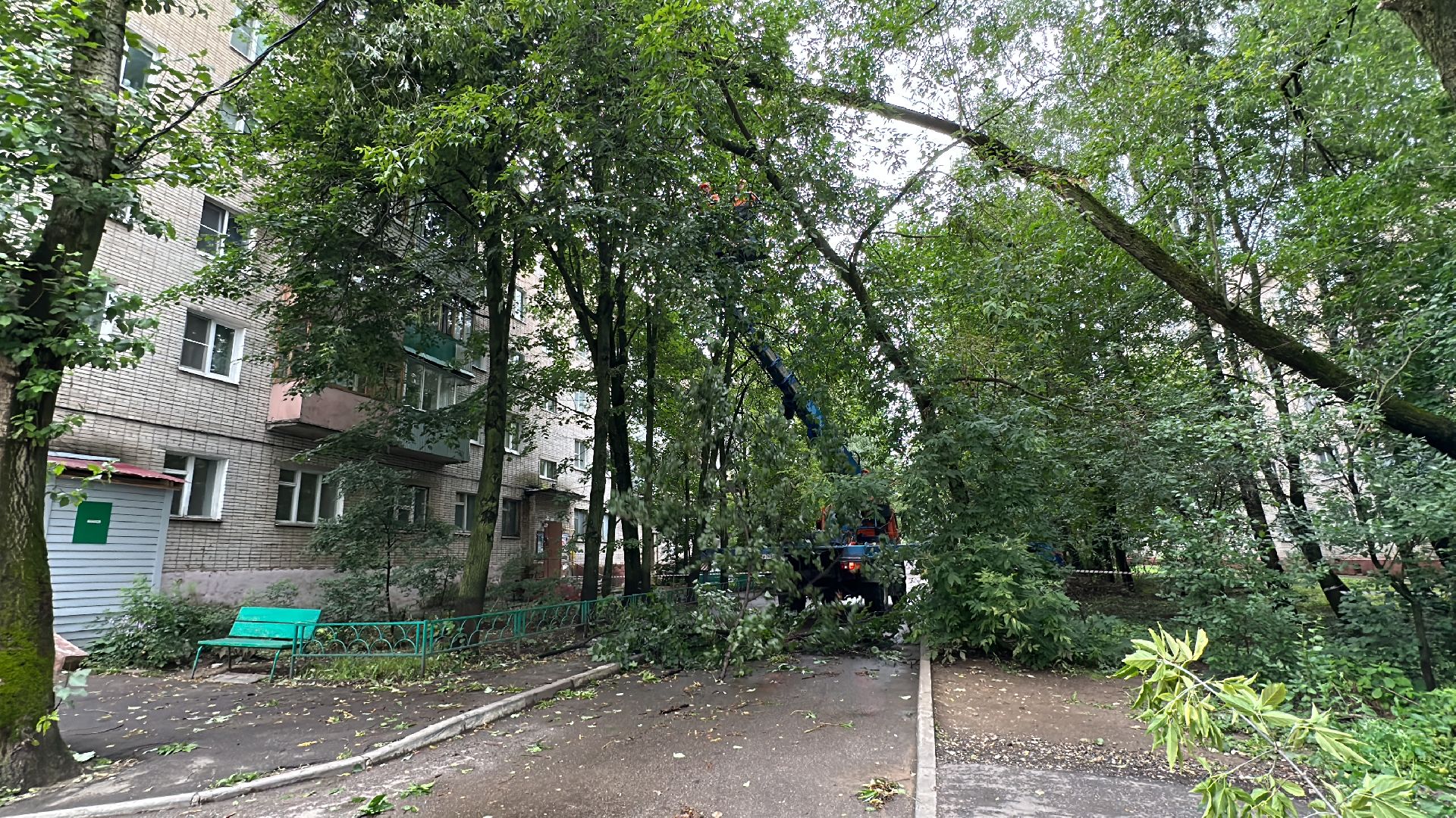 Одинцово, Ураган, Стихия, Благоустройство
