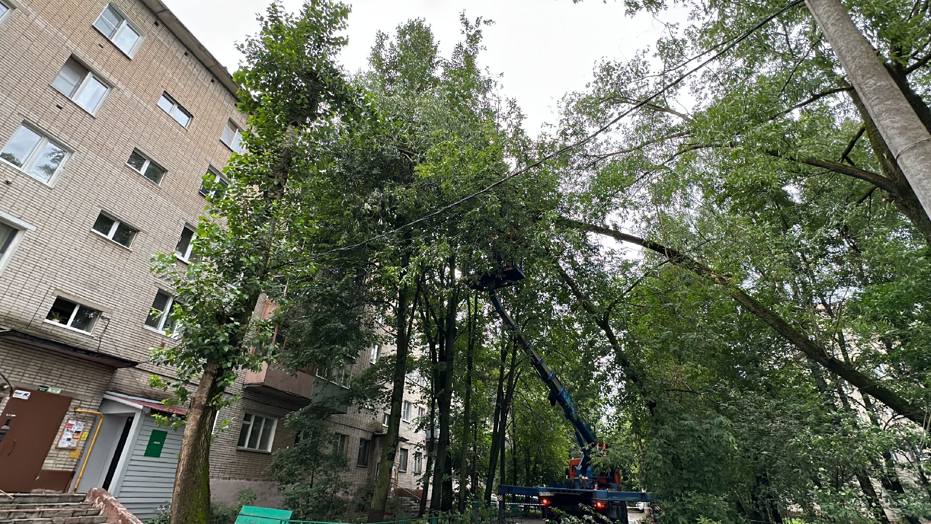 Одинцово, Ураган, Стихия, Благоустройство