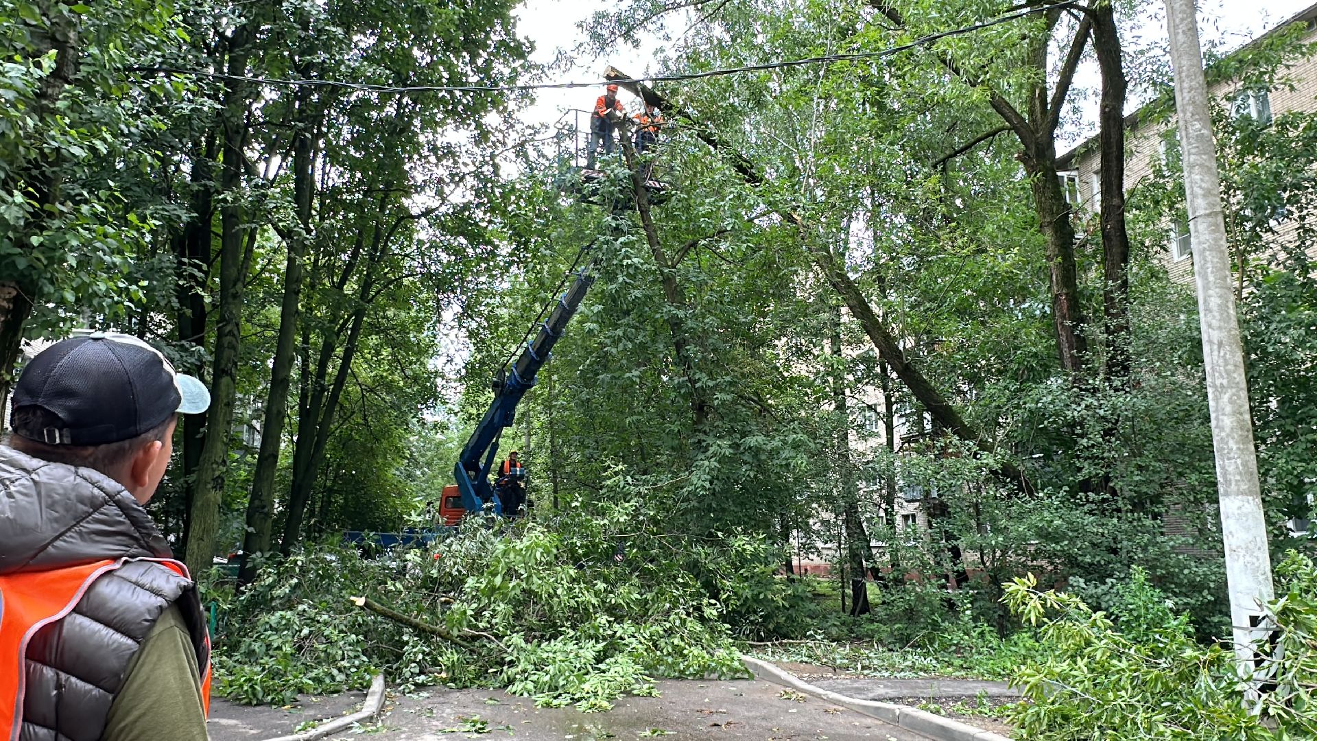 Одинцово, Ураган, Стихия, Благоустройство