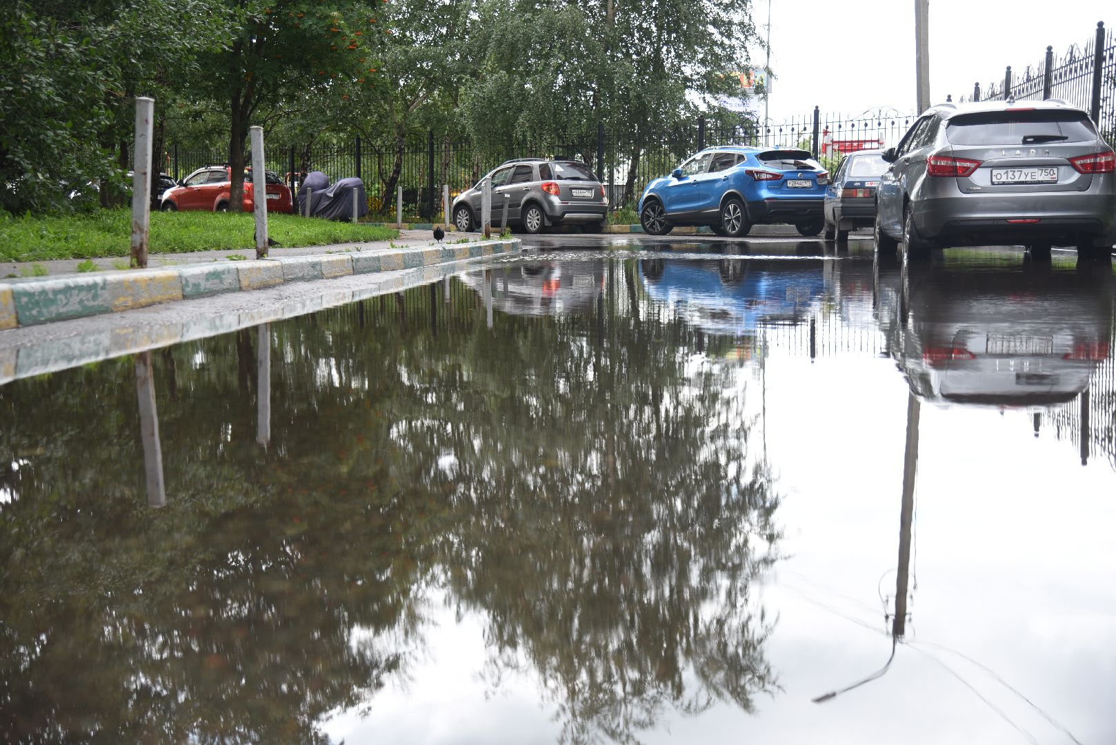 Химки, погода, дождь, осадки