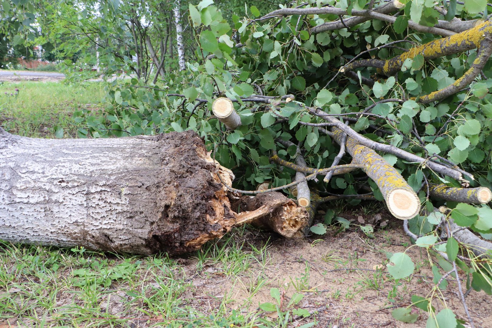 Серебряные Пруды, ликвидация непогоды
