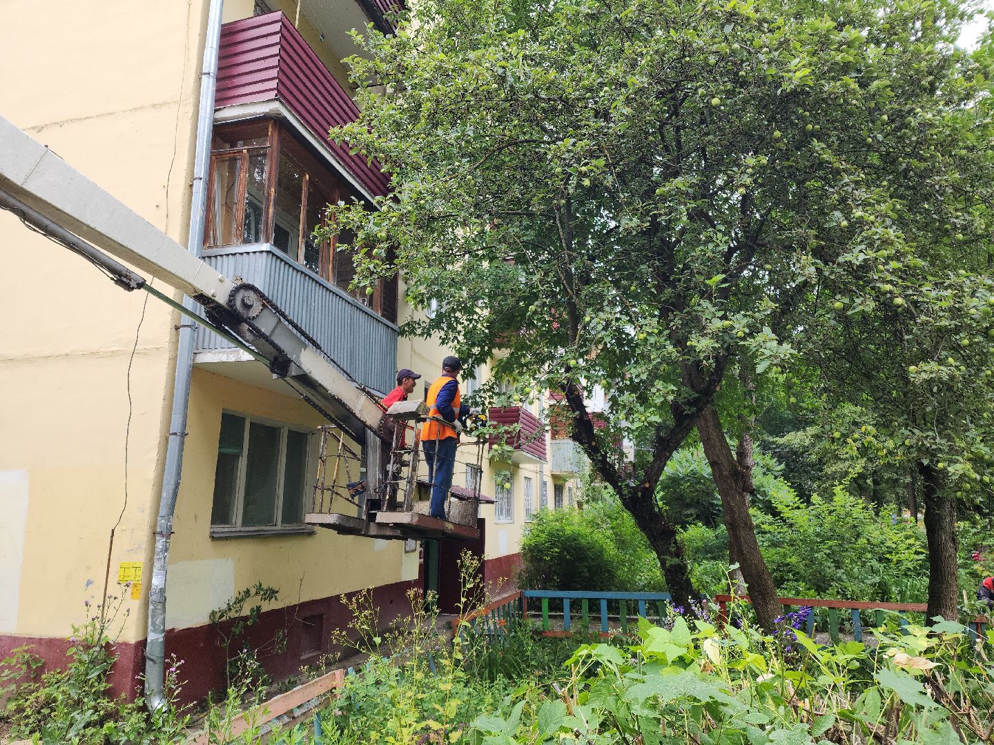 Подольск, опиловка деревьев, кронирование, управляющая компания