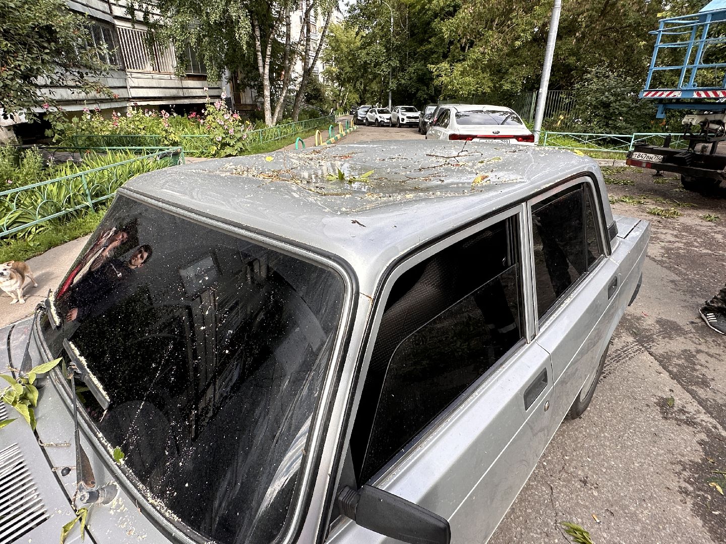 Одинцово, Авария, Благоустройство, Ураган