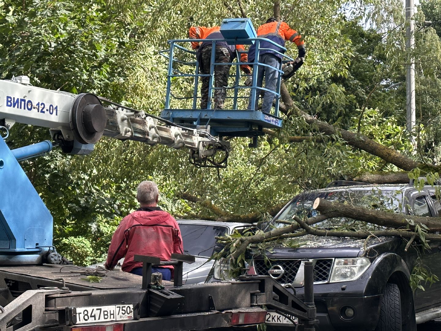 Одинцово, Авария, Благоустройство, Ураган