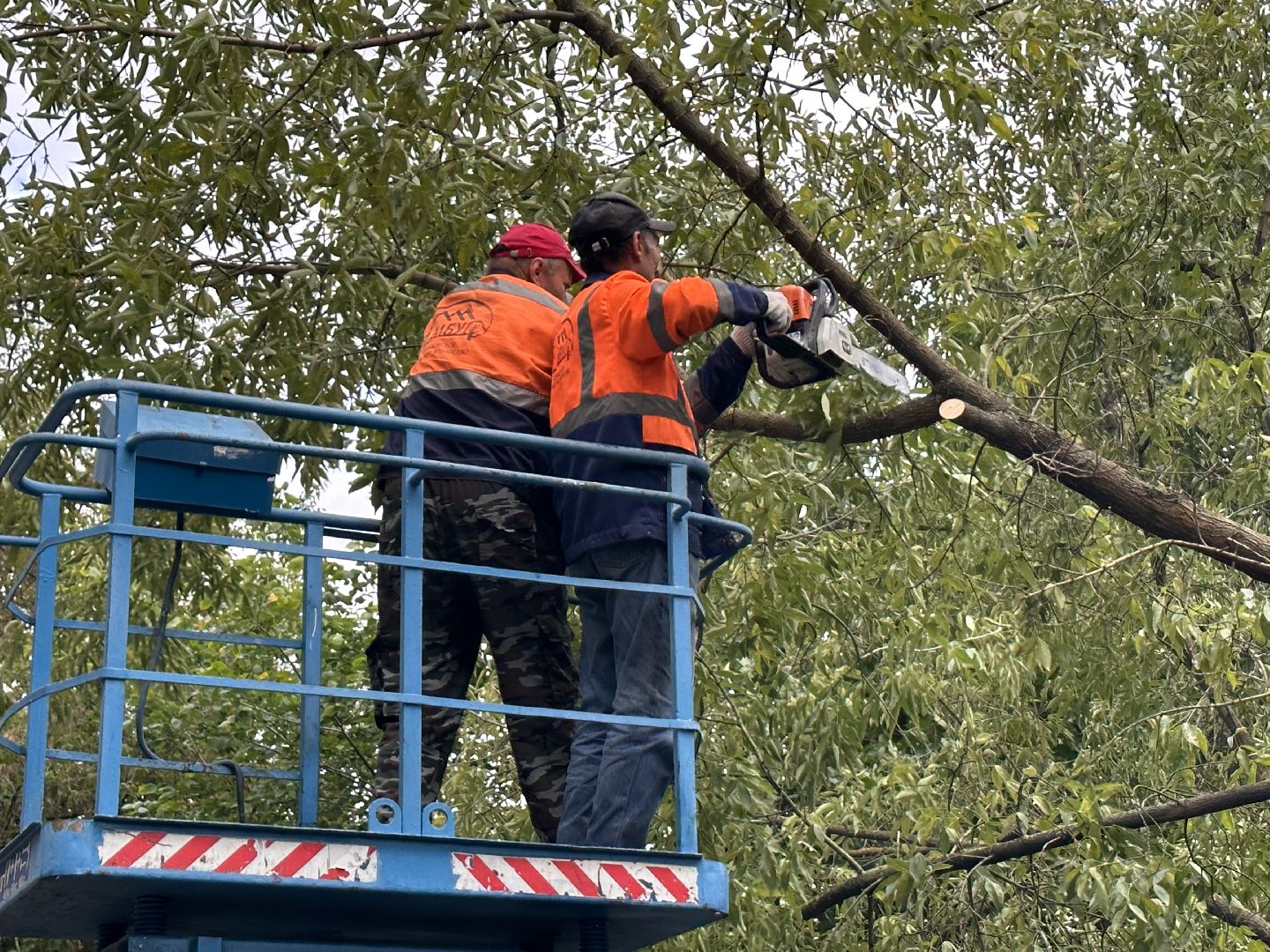 Одинцово, Авария, Благоустройство, Ураган