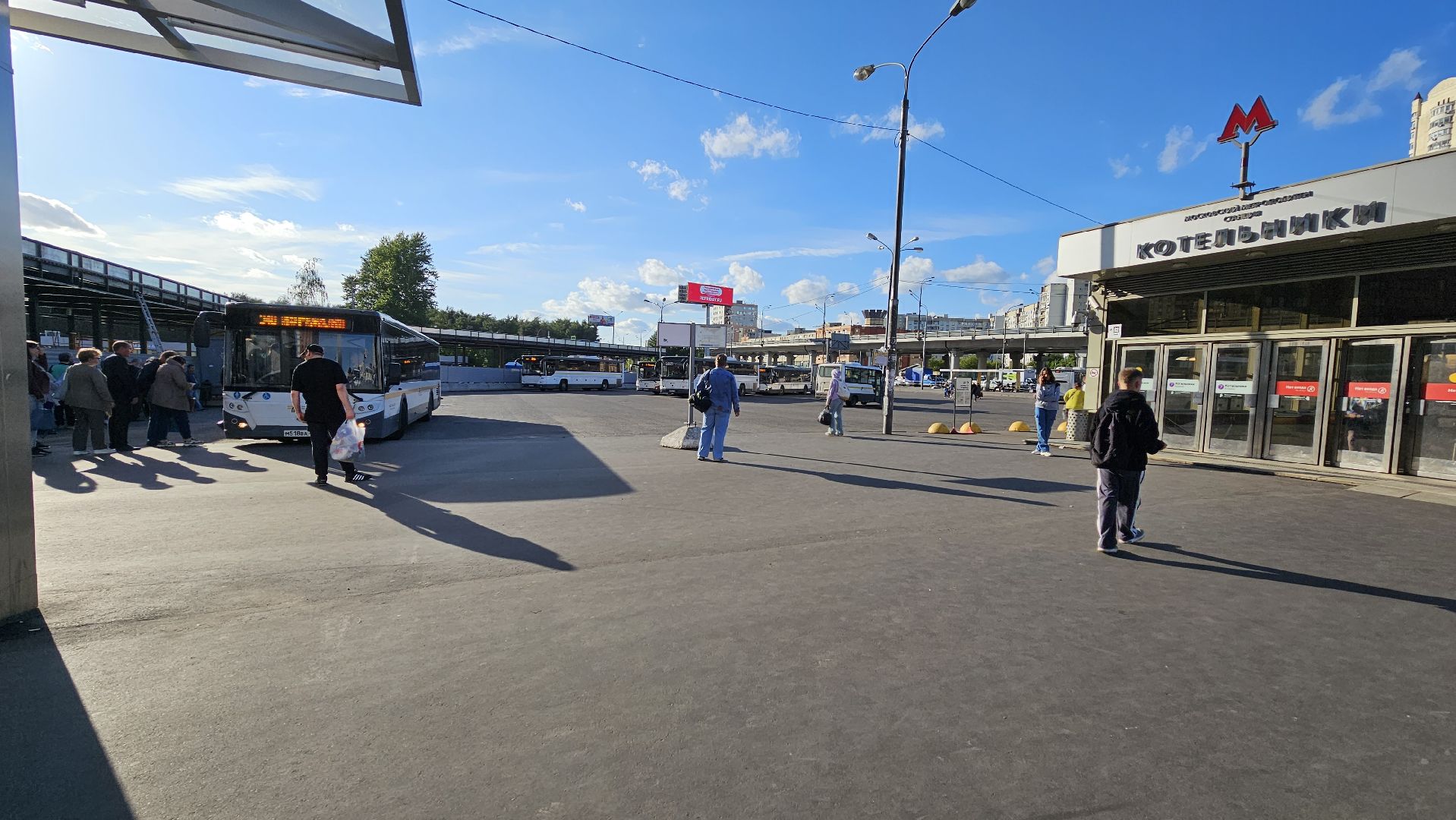 общественный транспорт, экспресс-маршрут, Минтранс МО, Котельники, Лыткарино