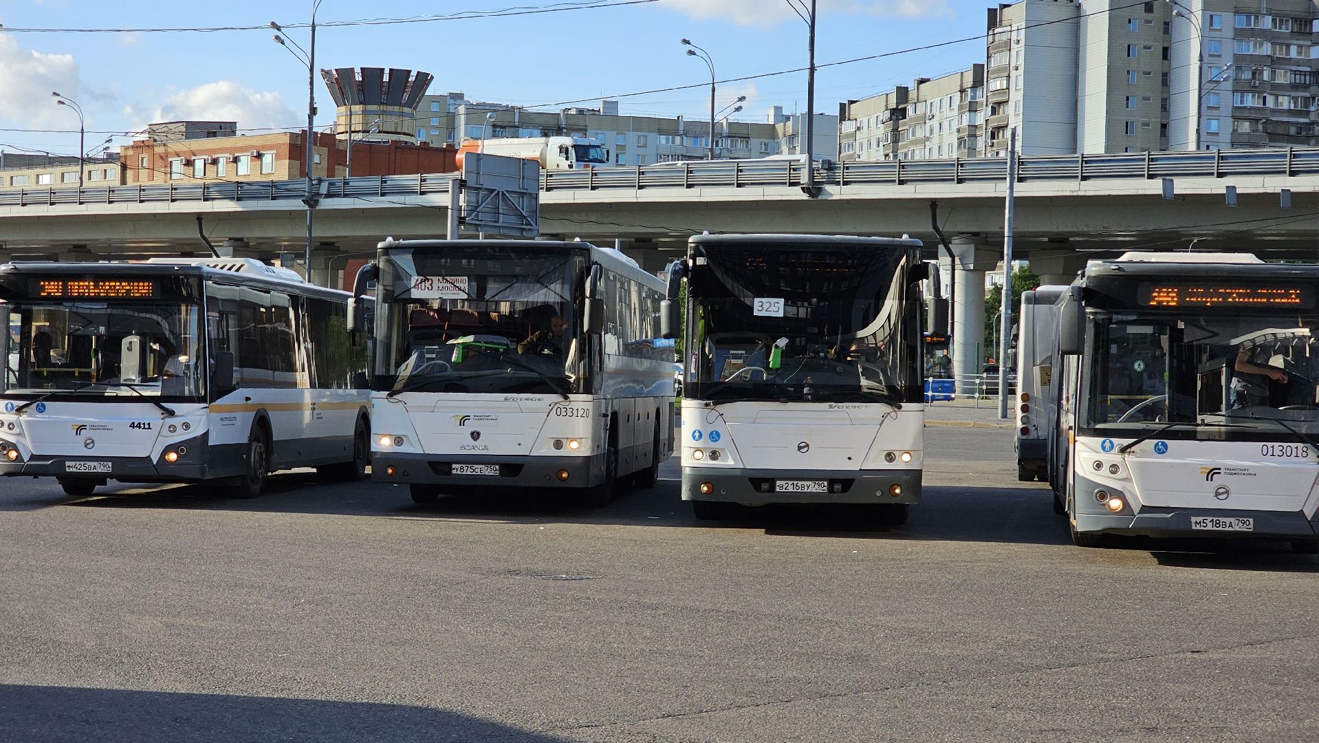 общественный транспорт, экспресс-маршрут, Минтранс МО, Котельники, Лыткарино