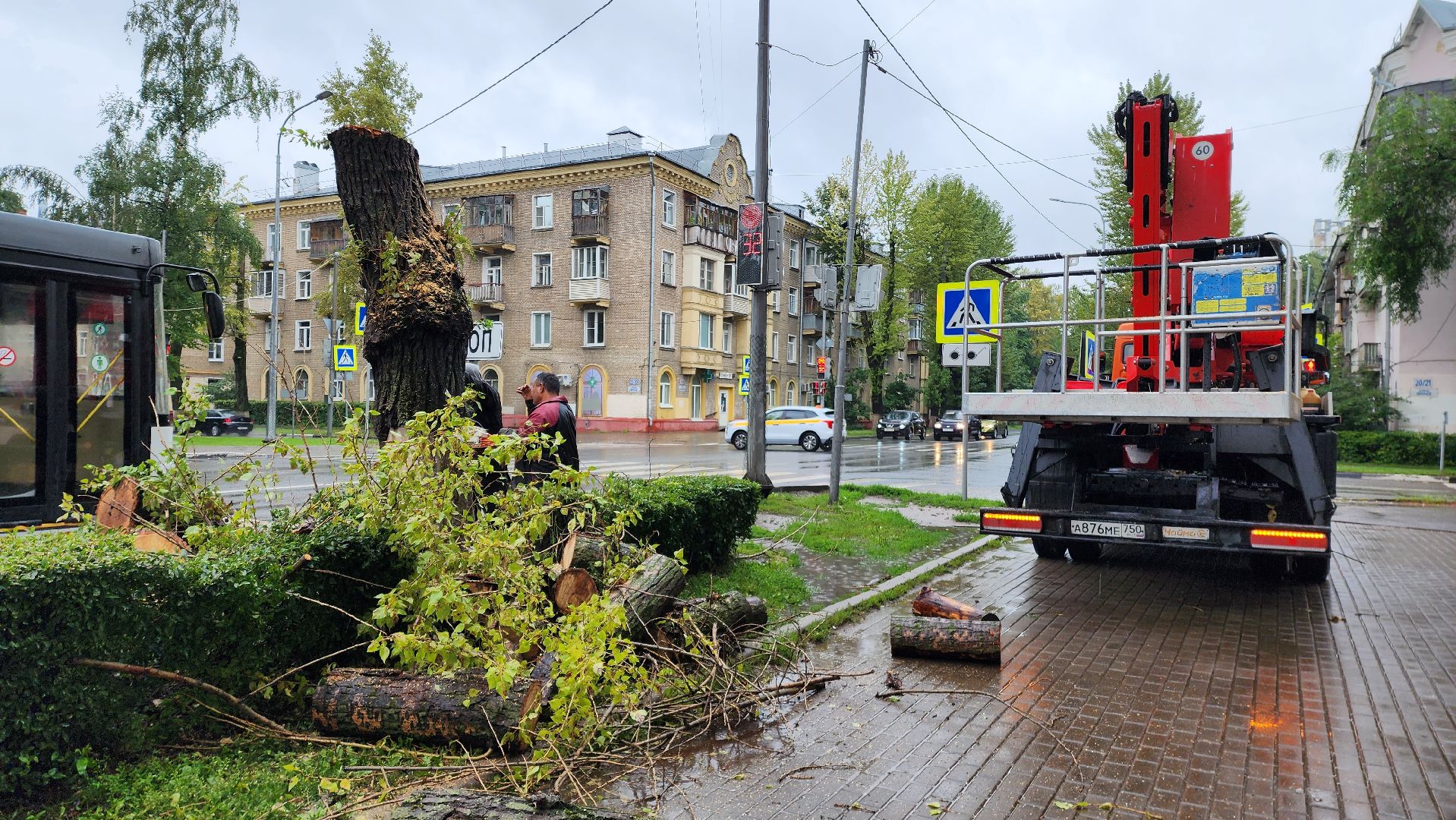 коммунальщики, благоустройство, опиловка,