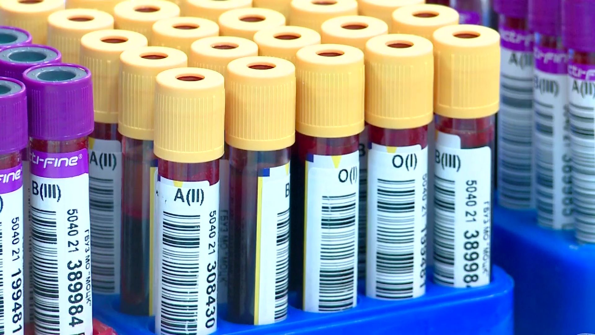 Реутов, День донора, кровь, донорство