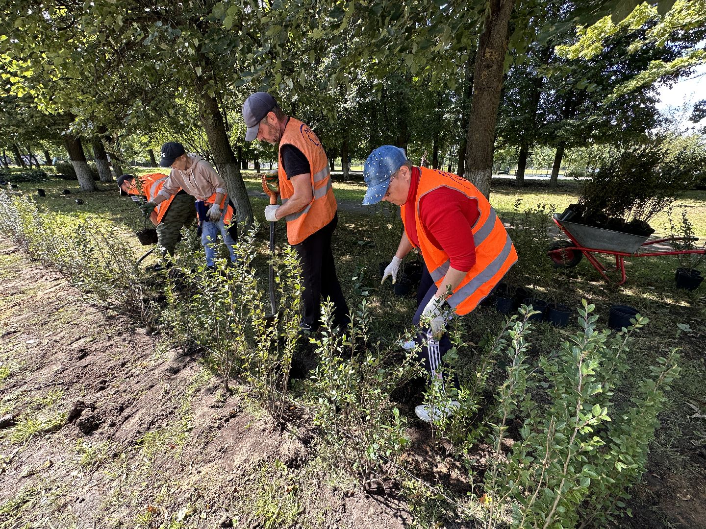 Одинцово, Благоустройство, Зелёное хозяйство, Озеленение