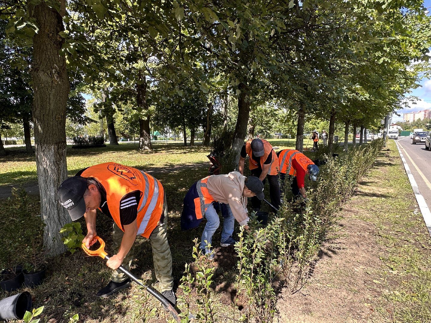 Одинцово, Благоустройство, Экология