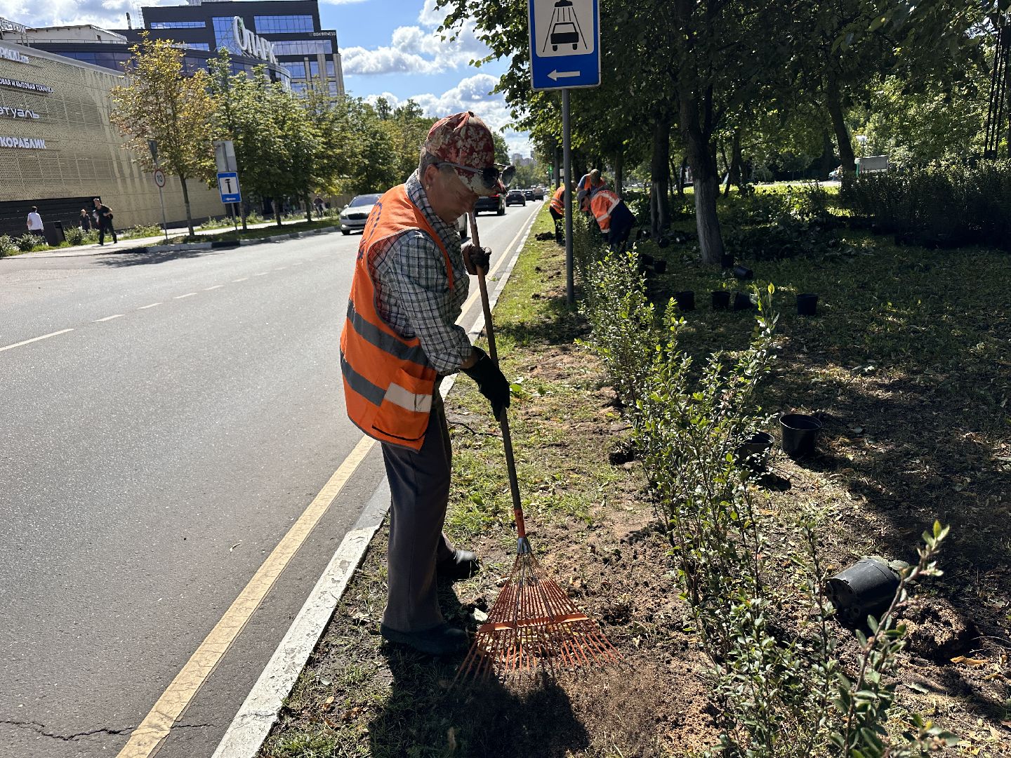 Одинцово, Благоустройство, Экология