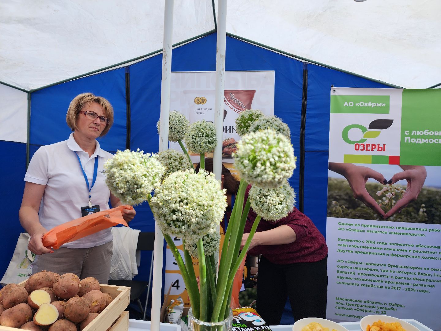 Домодедово, научный форум, сельскохозяйственная техника, выставка комбайнов, исследовательский институт, опытная станция