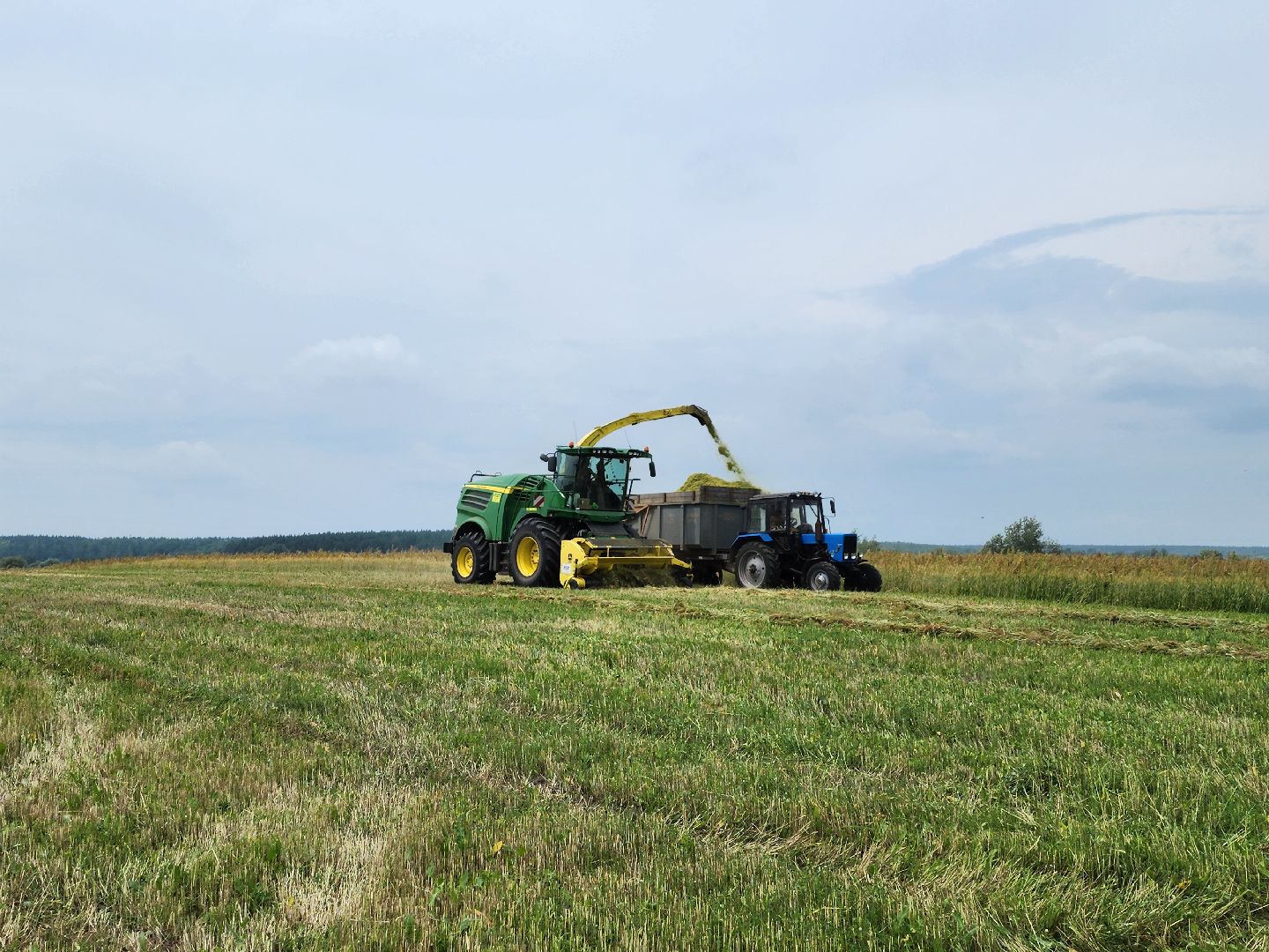 экономика, сельское хозяйство