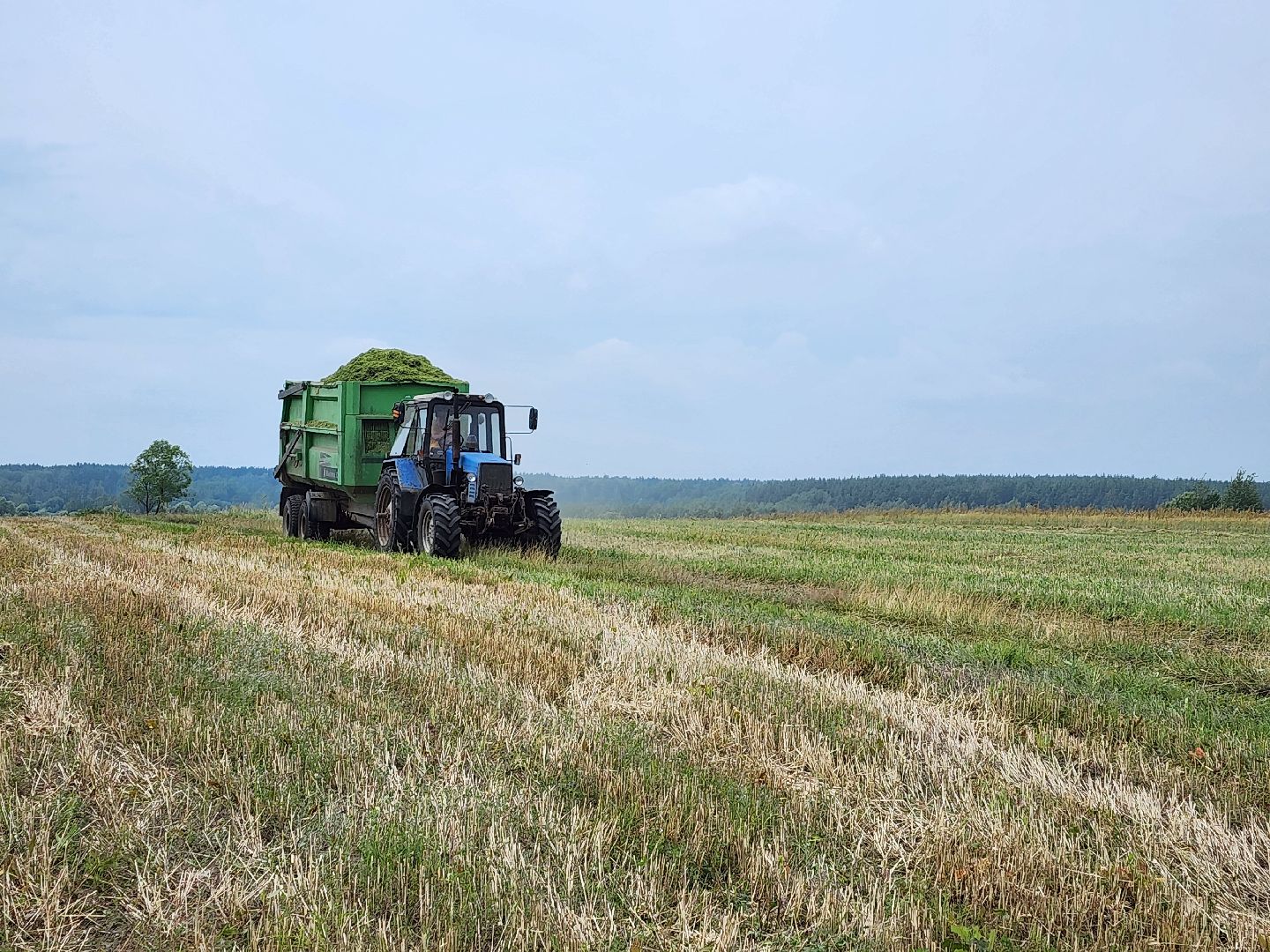 экономика, сельское хозяйство