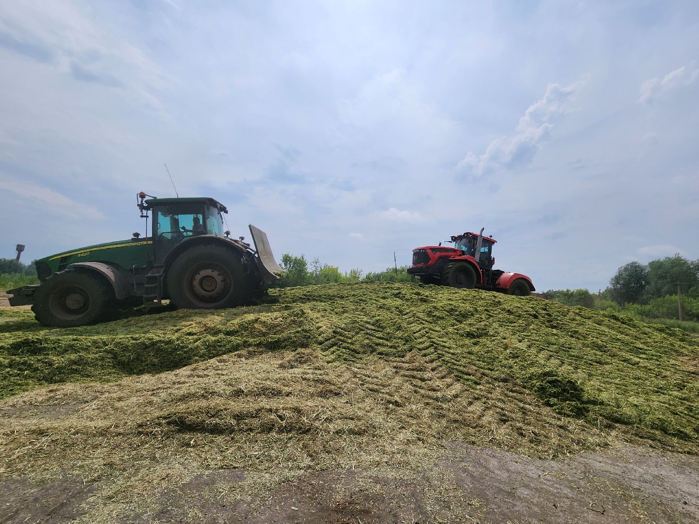 экономика, сельское хозяйство