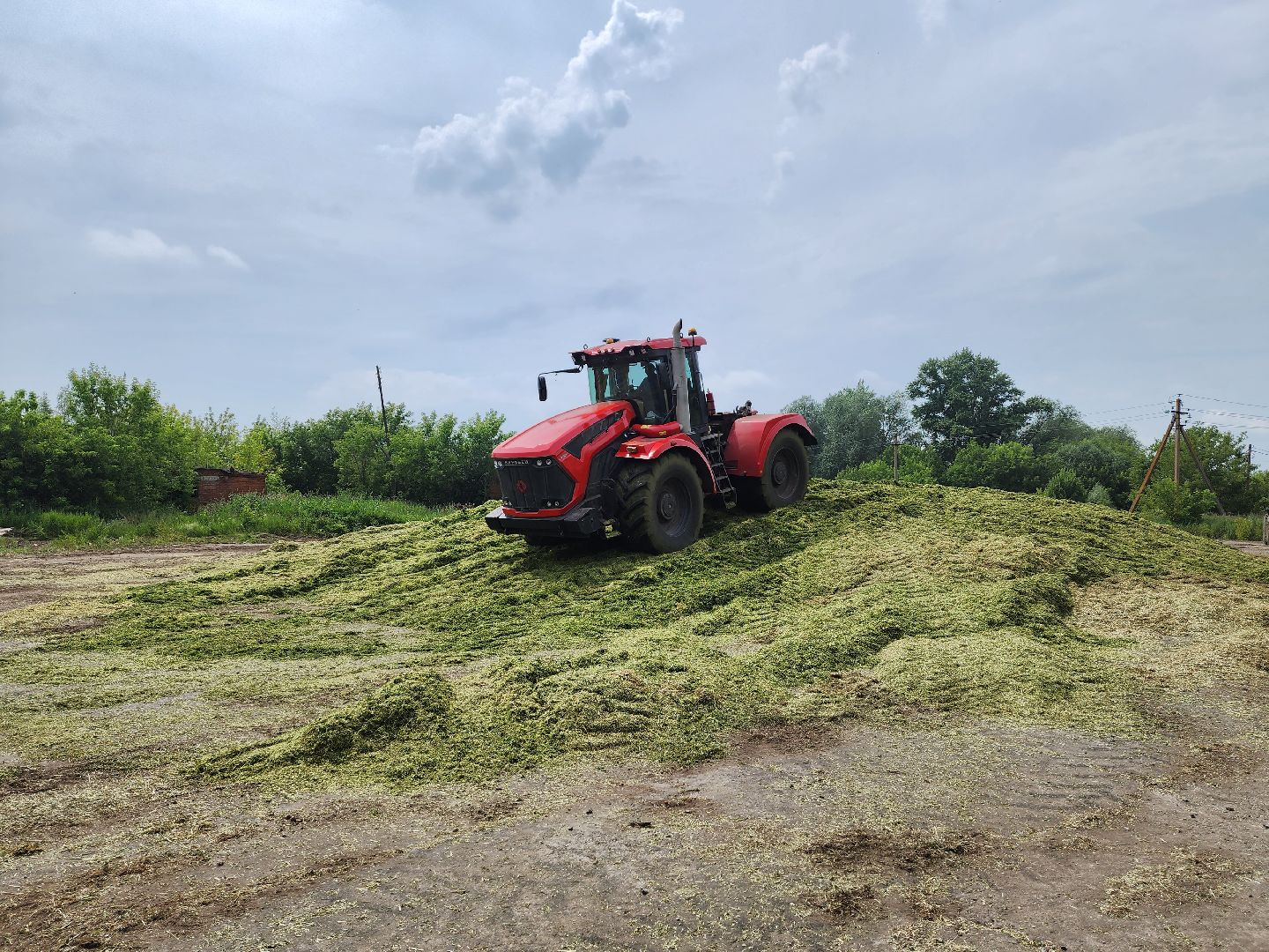 экономика, сельское хозяйство