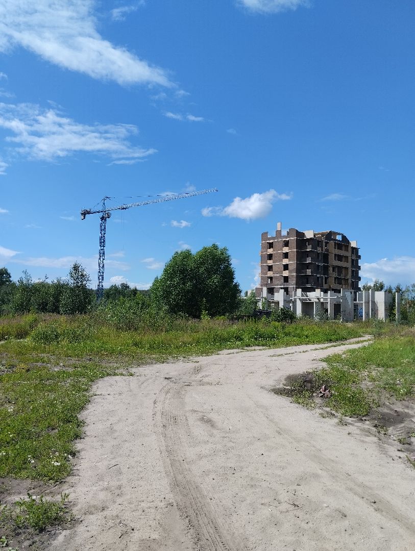 Строительство, долгострой, дольщики, Старая Купавна, Богородский городской округ