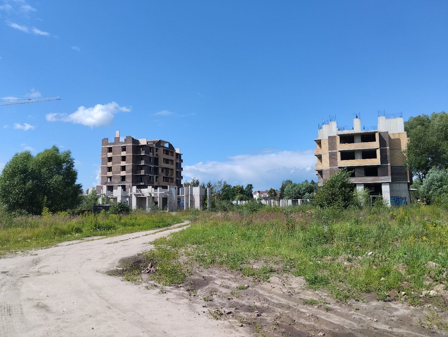 Строительство, долгострой, дольщики, Старая Купавна, Богородский городской округ