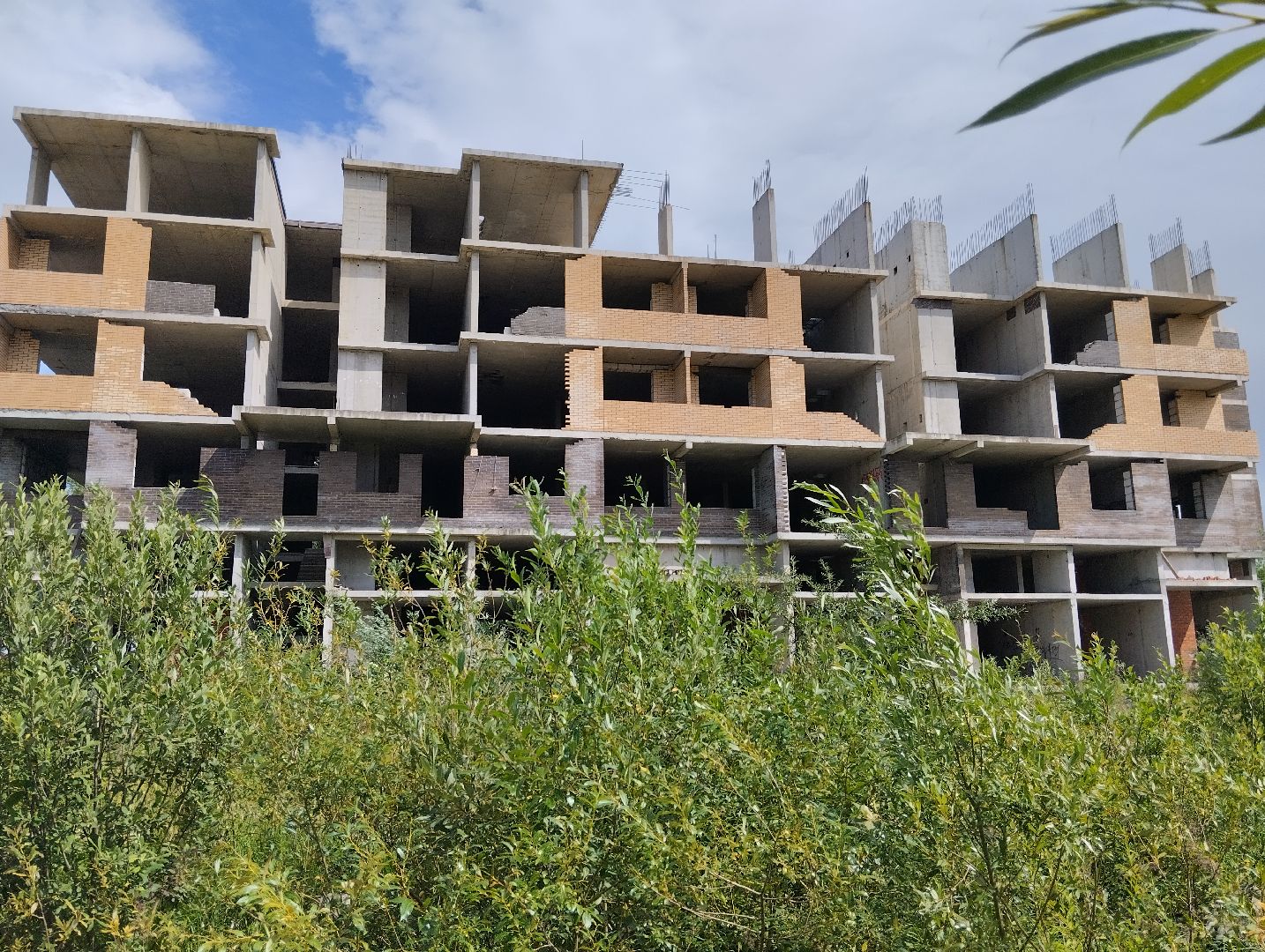 Строительство, долгострой, дольщики, Старая Купавна, Богородский городской округ